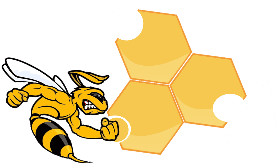 Bee Safe Security Bee Repair